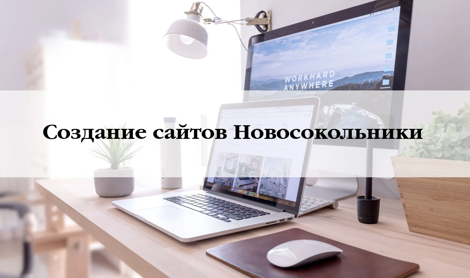 Разработка сайтов в Новосокольникам